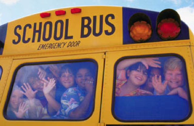 Cognitive Developmemt