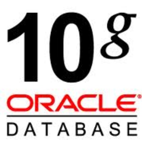 Queries taking all activity on the Oracle DB