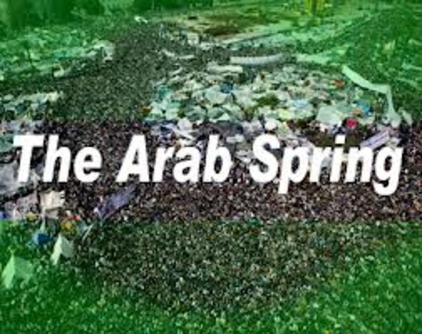 The Arab Spring