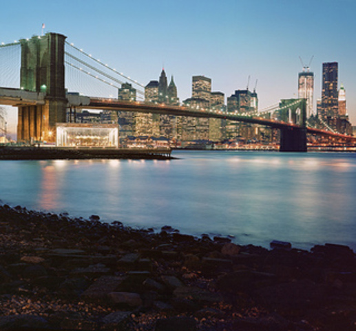 Run For Shelter 2012