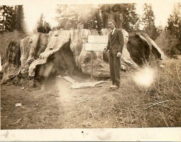 Civilian Construction Corps!