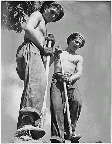 Civilian Construction Corps