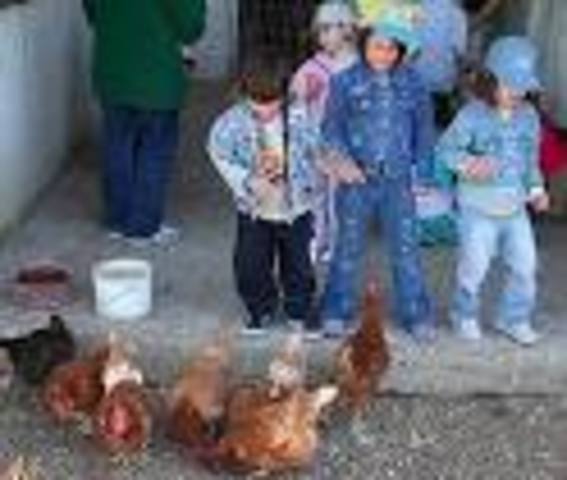 Visita a la granja escuela por primera vez