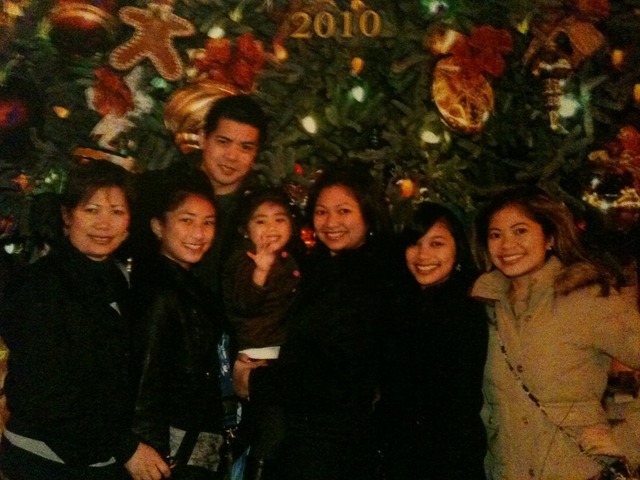 Je suis alle au Disneyland pour Noel.