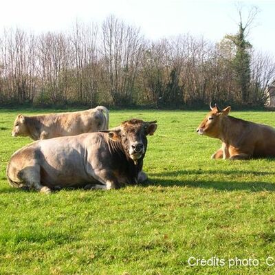 Timeline: Nos formations 2015 / 2016