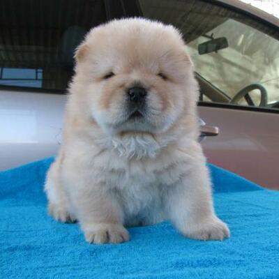 Timeline: my cute timeline