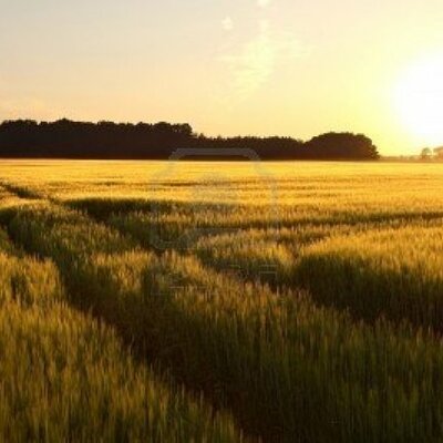 Timeline: Road to Revolution