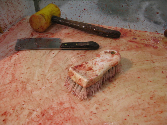 Start collection of Graphic and Video Sources