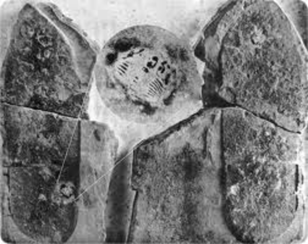 Mary discovered  hominid