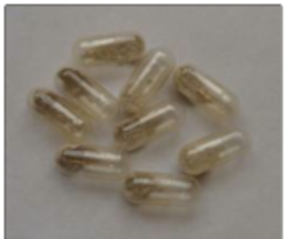 Florey and Chain's Success