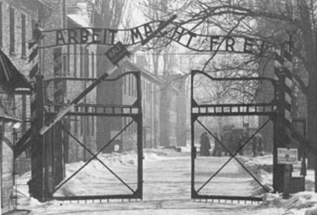 Vladek goes to Auschwitz