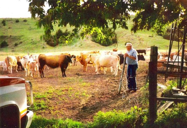 Burton sells his cattle, moving on to solely farming crops