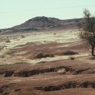 Timeline: Man's Impact On The Desert Biome