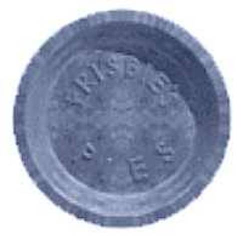 First plastic frisbee invented.