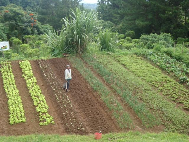 Cassia's Family is Reassigned