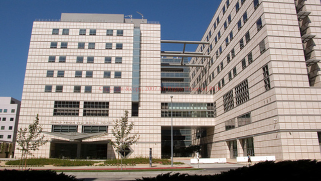 The month I became a UCLA Medical Center volunteer