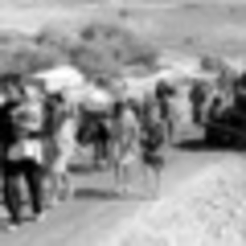 Arabs Leave Palestine