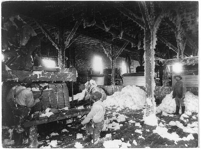 The Use of the Cotton Gin / Slavery (Cause of the War)