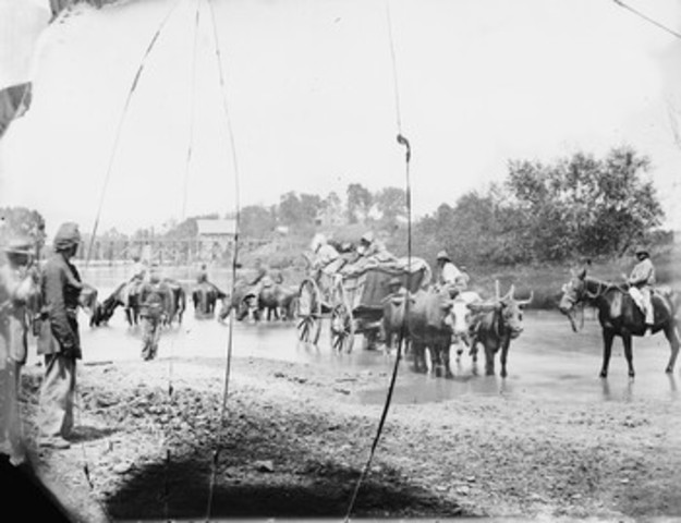 John M. Washington Refugee (Home Front)