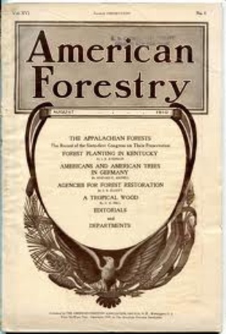 American Forestry Association founded