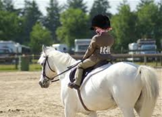 Yo monté una caballo por la primera vez.  Yo estuve muy feliz.