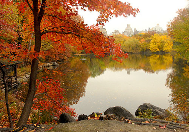 End of summer Party gone wrong