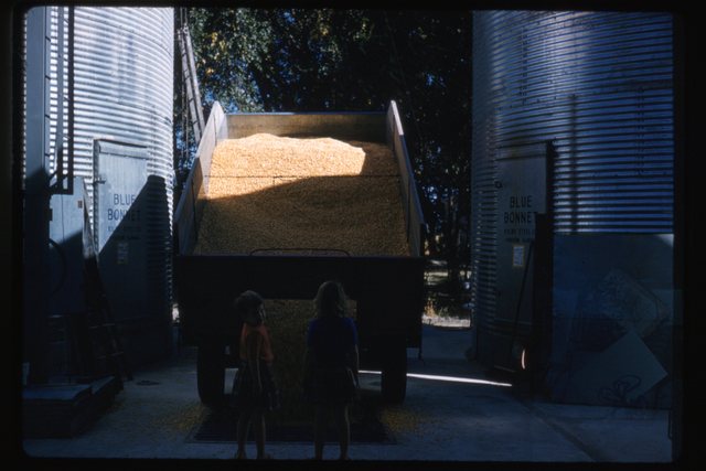 Burton installs grain bins