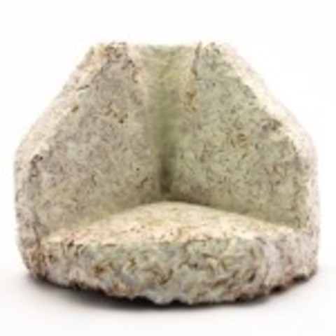 Mushrooms replace styrofoam by 50%