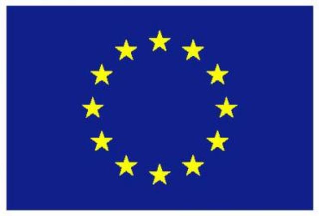 Lepiti kokku ühisraha kasutuselevõtu tingimused