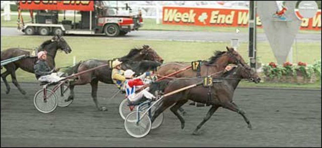 Le Prix d'Amérique remporté par une femme