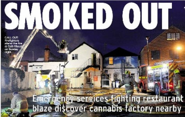 Blaze sparks cannabis factory discovery