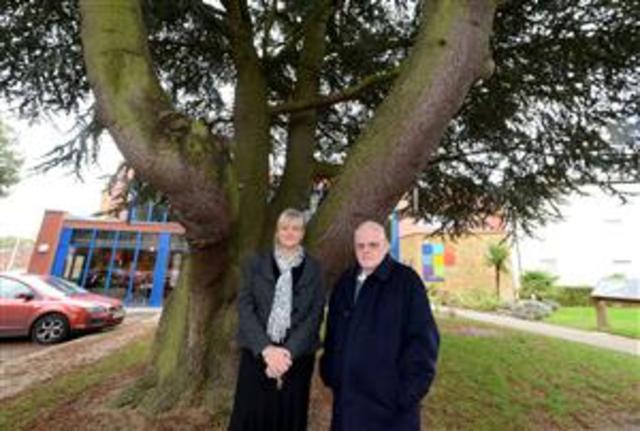 Rhodes cedar for the chop