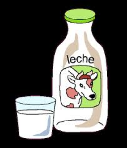 Leche entera