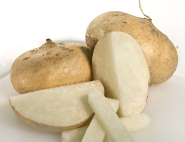 Jicama