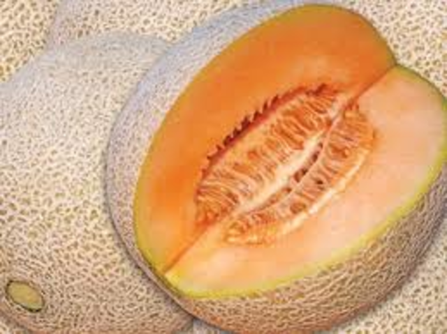Melon