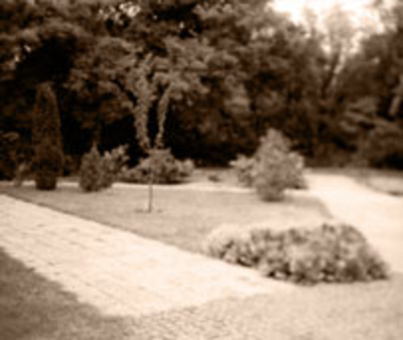 Tesla's Idea for Alternate Current Power Begins to Form