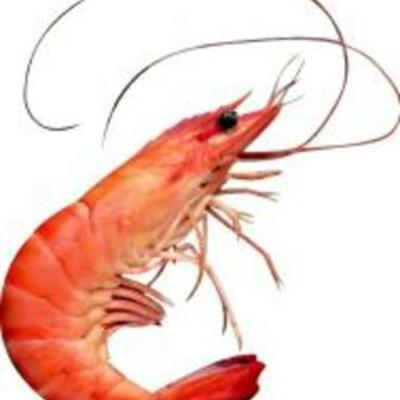 Timeline: Frise de l'amour