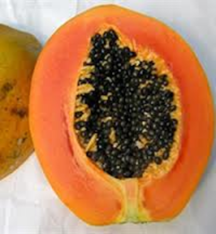 Papaya