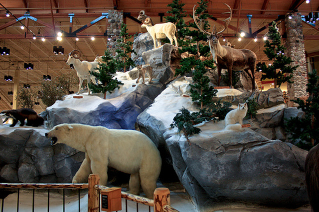 Left Abercrombie and Fitch