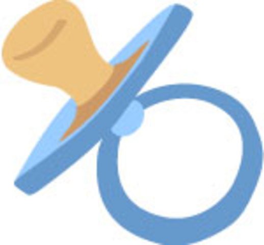 Rosa's brother is born