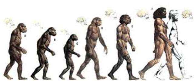 (Evolution) Descent of Man [INFLUENTIAL]