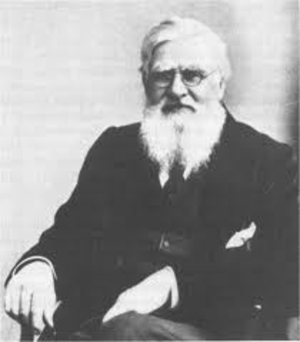 (Evolution) Wallace [INFLUENTIAL]