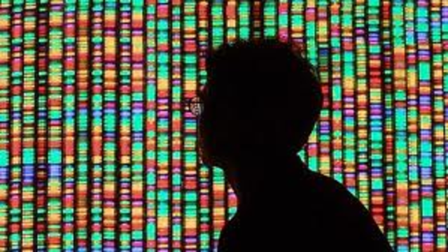(Evolution) Human Genome [IF HE'D KNOWN]