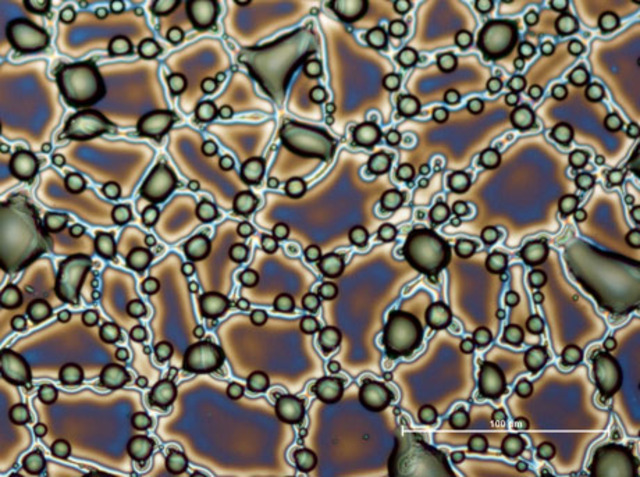 Ear phone epidemic kills evolved electronics