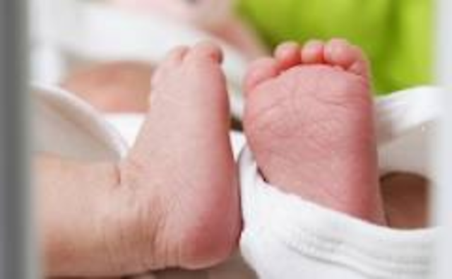 Motalidad espontanea