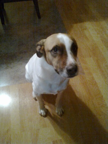 J'avais heine des fractions