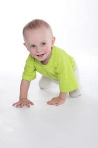 Cordinación dinamica