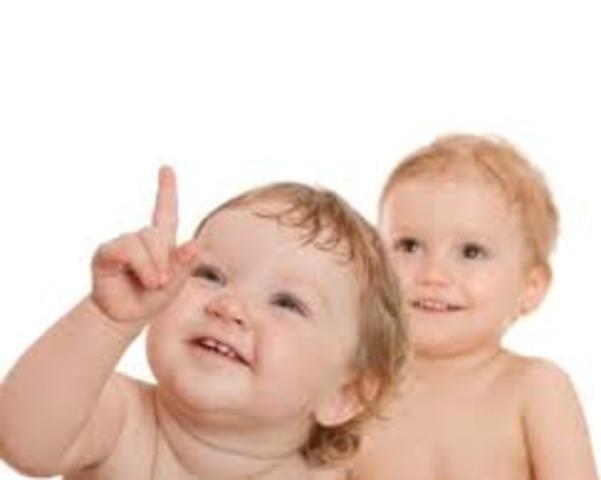 Proceso de conocimiento