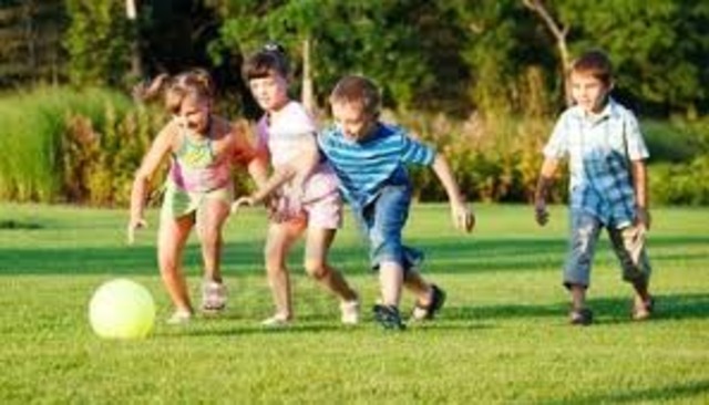 Objetivos especificos