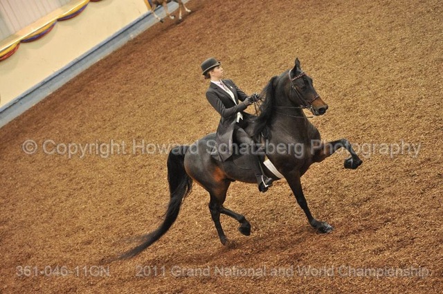 Yo fui a Oklahoma para nacionales para paseos a caballo. Yo estaba muy nervioso y excitado.